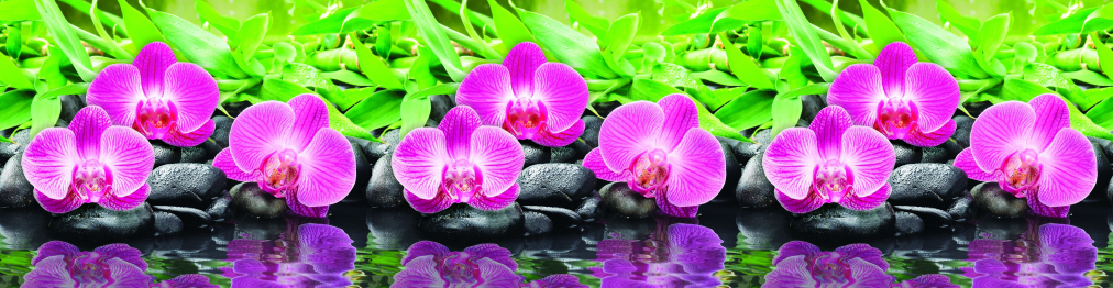 Кухонный фартук Орхидеи 3000x600x1.5 мм глянец