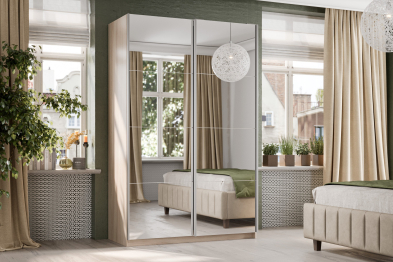 Шкаф-купе Smart 1222 2х дверный (фасады зеркало) профиль серебро