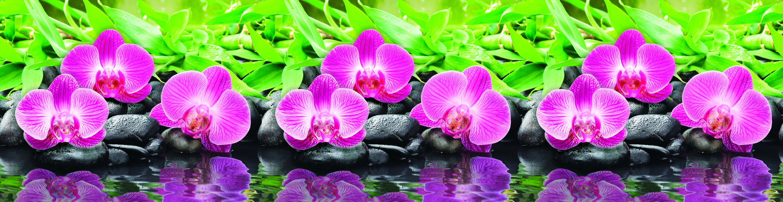 Стеновые панели из АБС-пластика, Кухонный фартук Орхидеи 2000x600x1.5 мм глянец