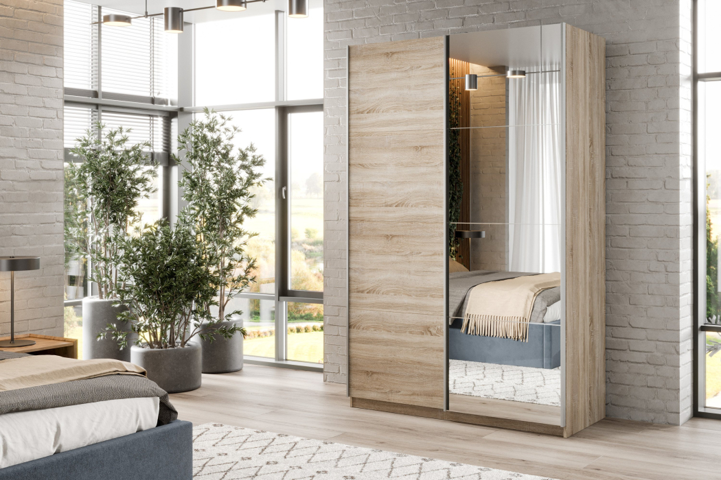 Шкафы-купе 2-х дверные, Шкаф-купе Smart 1222 2х дверный (фасады ЛДСП,зеркало) профиль серебро