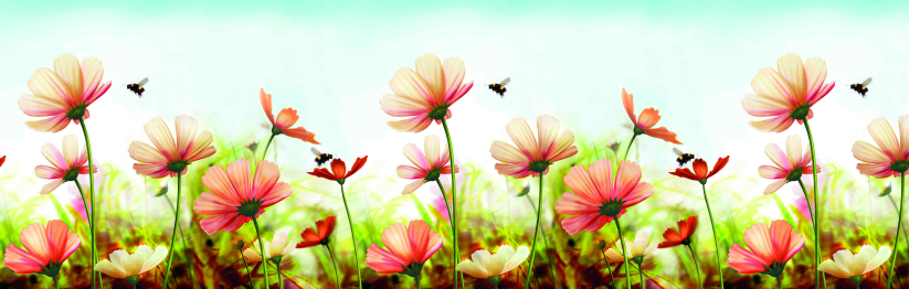 Кухонный фартук Пчелки 3000x600x1.5 мм глянец